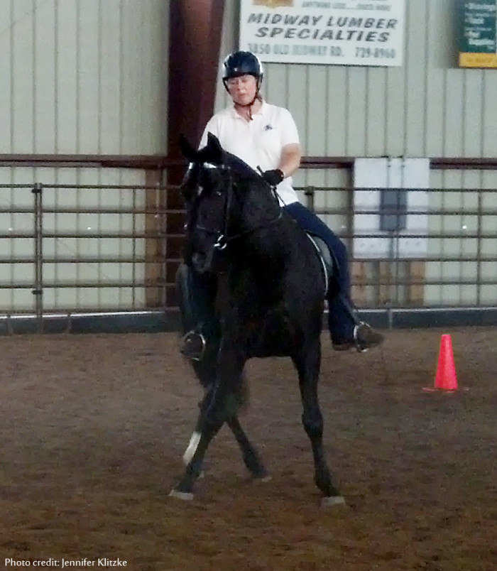 2014 Jennie Jackson Dressage as Applied to the Gaited Horse Clinic