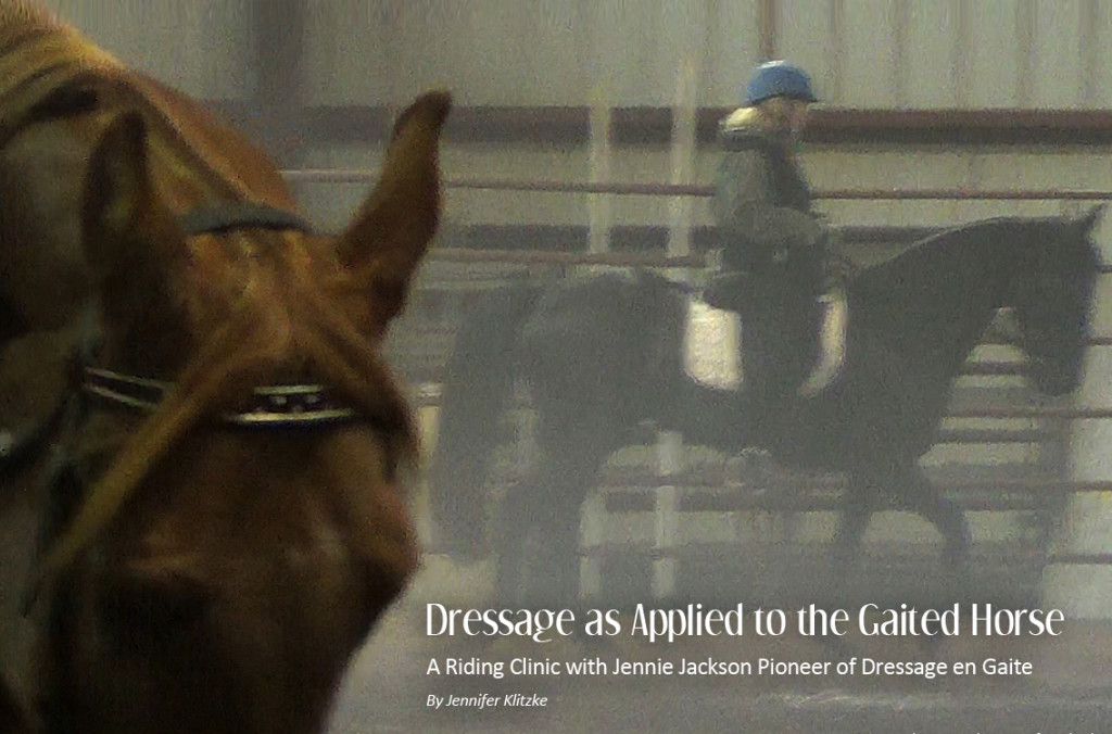 Dressage as Applied to the Gaited Horse