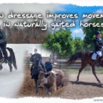 how dressage improves movement in naturally gaited horses