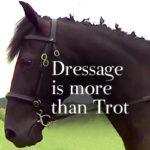 Dressage is more than Trot
